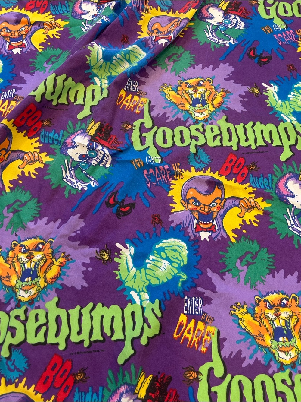 Vintage 1990s goosebumps set